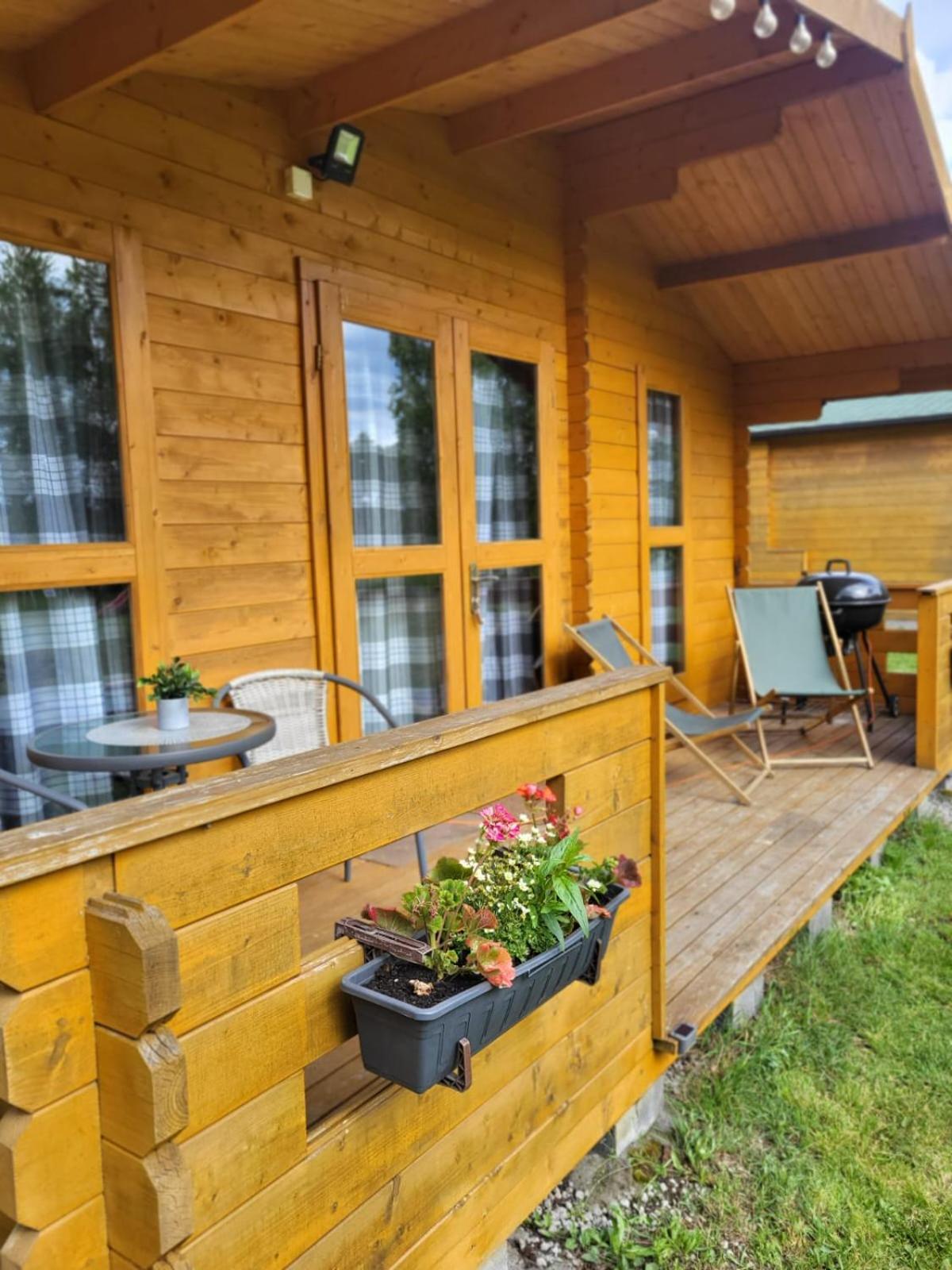 Ferienwohnung Lesnisko Niegowa Exterior foto